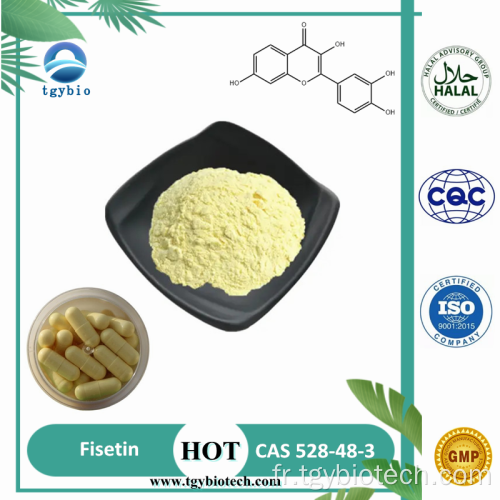 100% Natural Cotinus Coggygria Extrait Powder Fisetin 98%